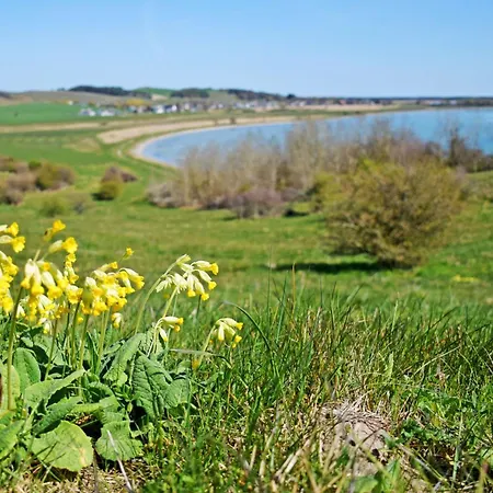 Appartementhaus Mit Balkon Im Ostseebad Hm-adl *
